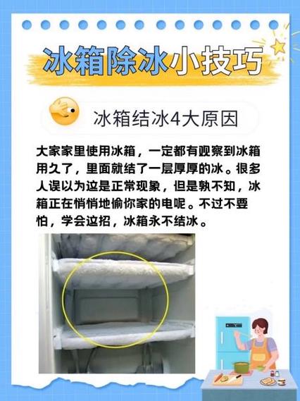 冰箱冷冻里面结冰是怎么回事游戏截图