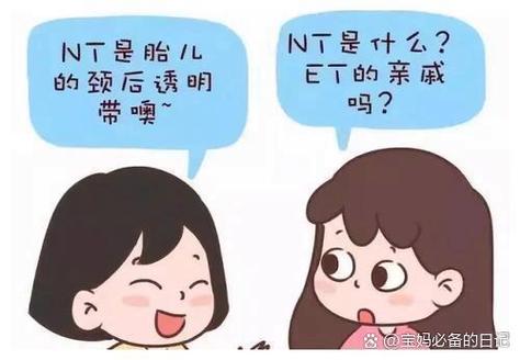 查nt需要空腹和憋尿吗缩略图