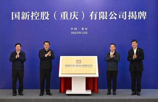 国新资本有限公司是什么级别图标