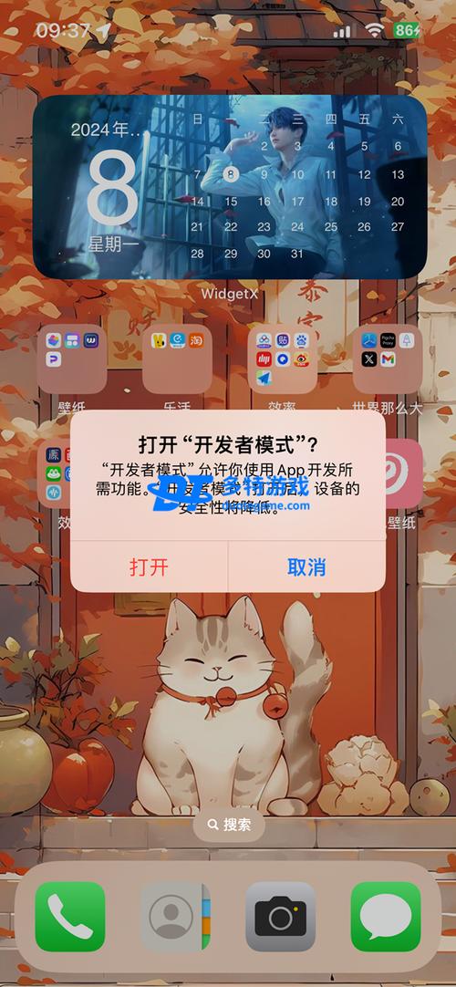 苹果手机如何进入开发者模式游戏截图
