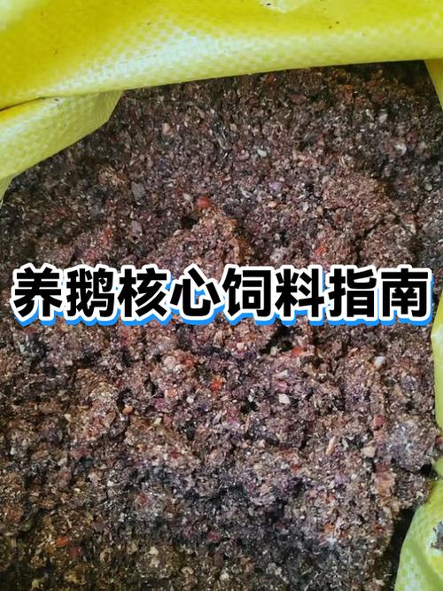 养鹅1000只下蛋投资多少钱缩略图