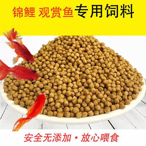 家养锦鲤喂什么饲料好缩略图