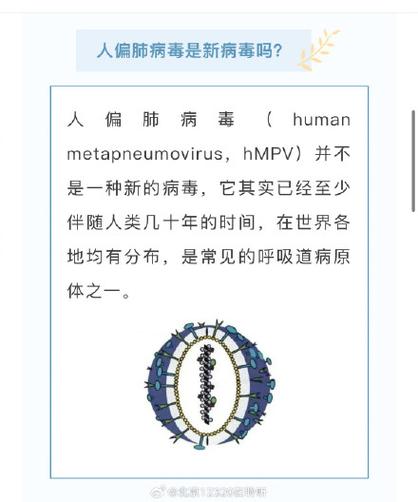 偏肺病毒怎么治疗缩略图