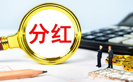 股权分红是什么意思缩略图