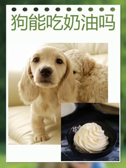 狗吃了鸡骨头几天恢复缩略图