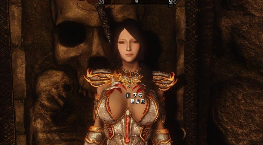 上古卷轴5美化人物mod图标