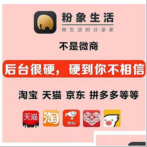 网上粉象生活馆赚钱是真的吗缩略图