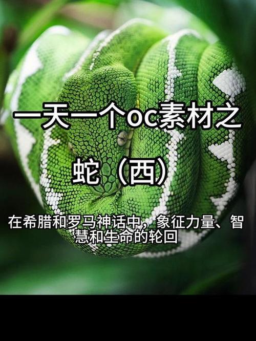 蛇oc元素大全图标