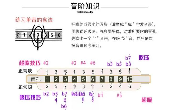 初学者买10孔还是24孔口琴缩略图