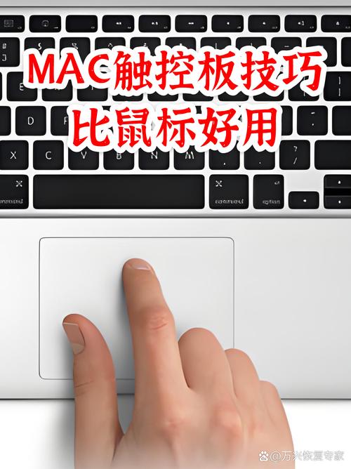 笔记本电脑触摸板和鼠标怎么切换缩略图