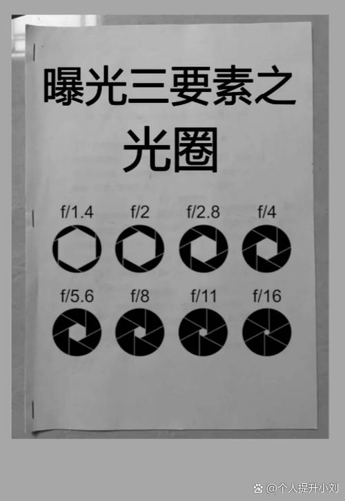 镜头左右晃动怎么调缩略图