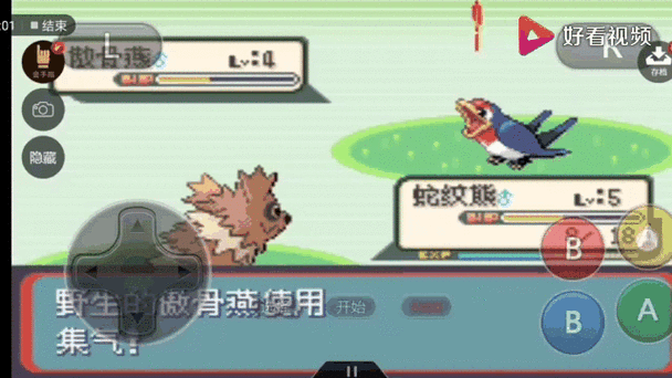 口袋妖怪蛇纹木精灵进化游戏截图