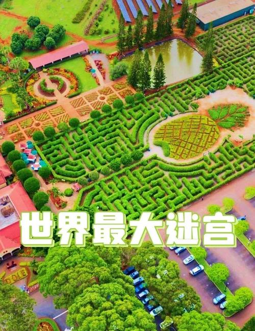 国王迷宫生长速度有多快缩略图