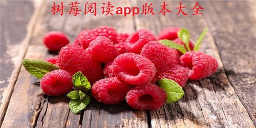 树莓阅读网站特色