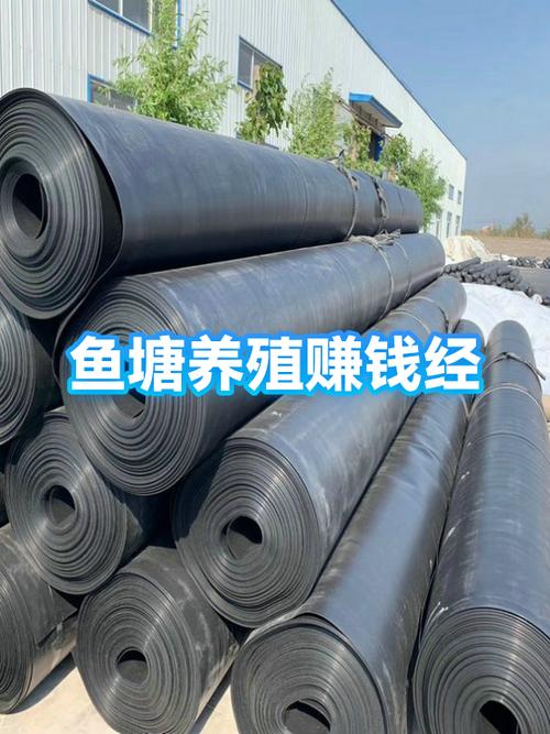 养鱼赚钱吗利润多少缩略图