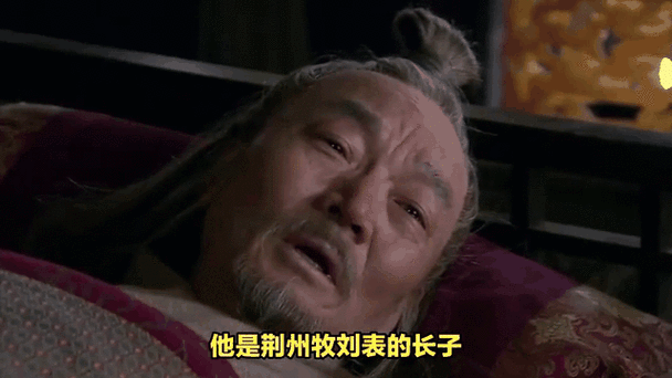 重生三国之刘琦缩略图
