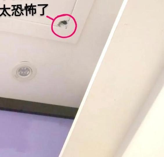 摄像头有个小红点有亮是开着的吗?图标