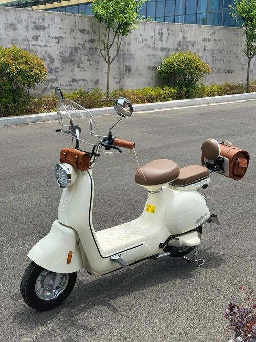 电瓶车启动了车子不走怎么回事缩略图