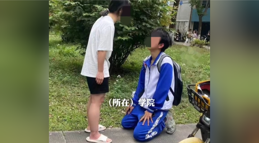 学霸在书房挨父亲打的小说叫什么缩略图