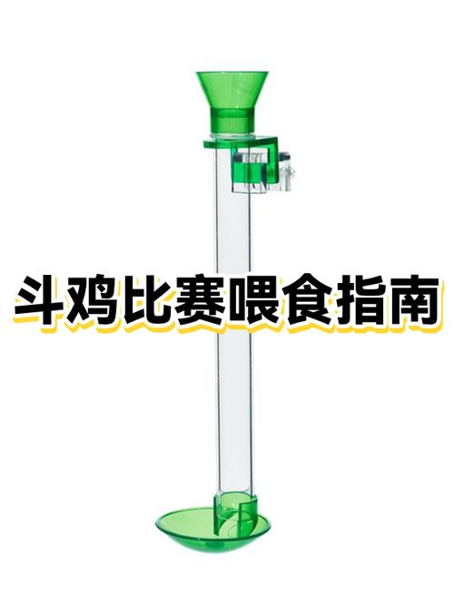 斗鸡拿什么喂最好缩略图