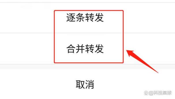 微信群聊右上角无三点是什么意思游戏截图