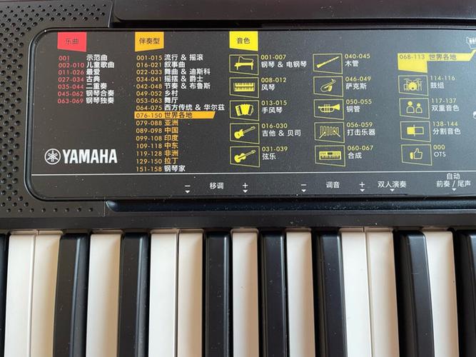 雅马哈750电子琴讲解游戏截图