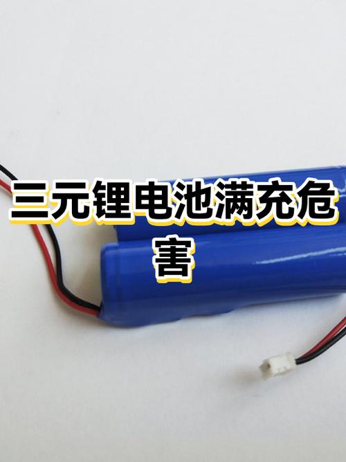 锂电池充一会儿就满了游戏截图