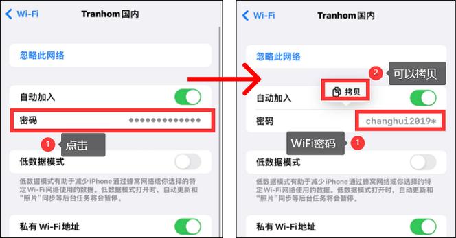 苹果手机怎么查看自己无限的密码缩略图