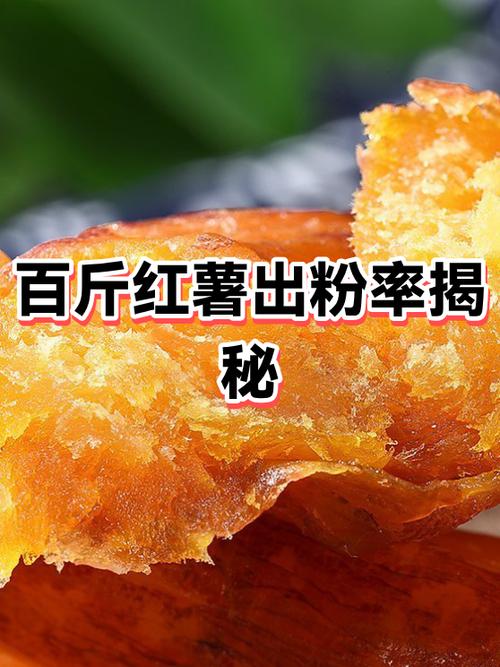 苏28红薯和商19出粉率缩略图
