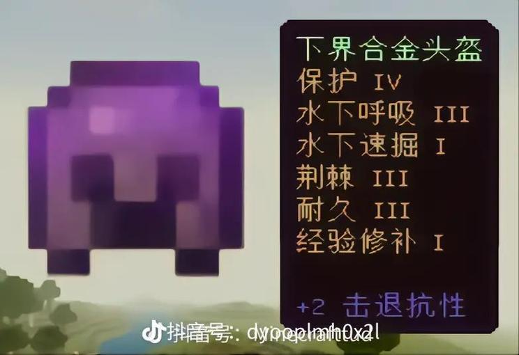我的世界下界合金胸甲可以附魔什么图标