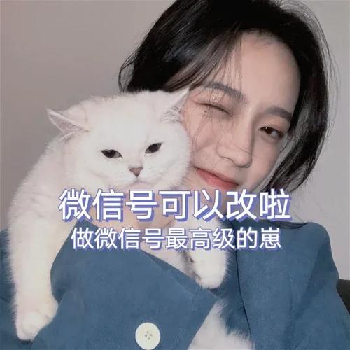 微信上小星星的含义图标