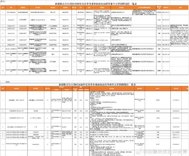 2026新疆事业编制招聘岗位表缩略图