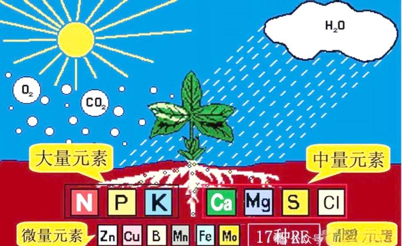 植物大战僵尸2中元素植物有哪些图标