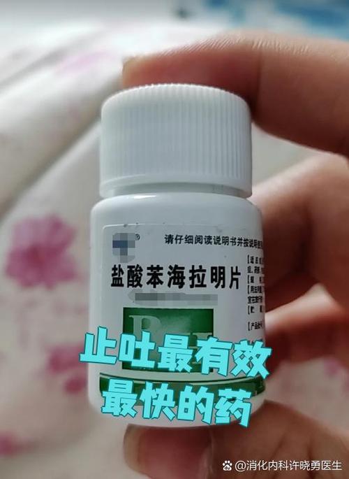 小狗呕吐最快的解决药缩略图