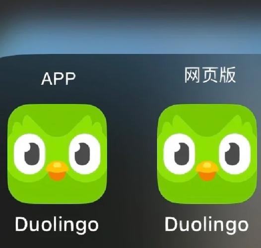 多邻国搜索不到好友怎么办缩略图