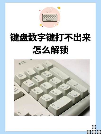 小键盘数字打不出按哪个键的解决方法游戏截图
