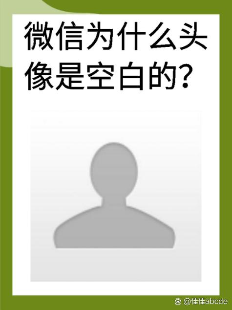 女生微信头像变成空白的原因游戏截图