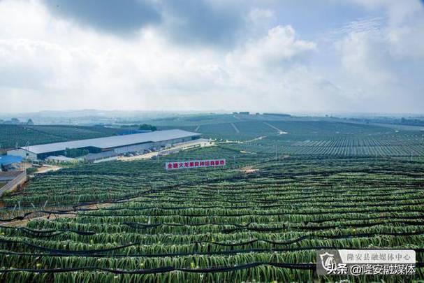广西金穗农业园图标