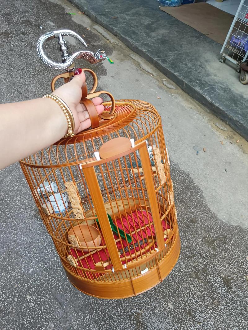 黄鸟抓包工具缩略图