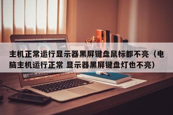 电脑显示器黑屏鼠标键盘灯也不亮游戏截图