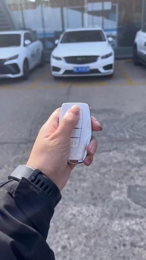 吉利星瑞可以远程启动吗图标