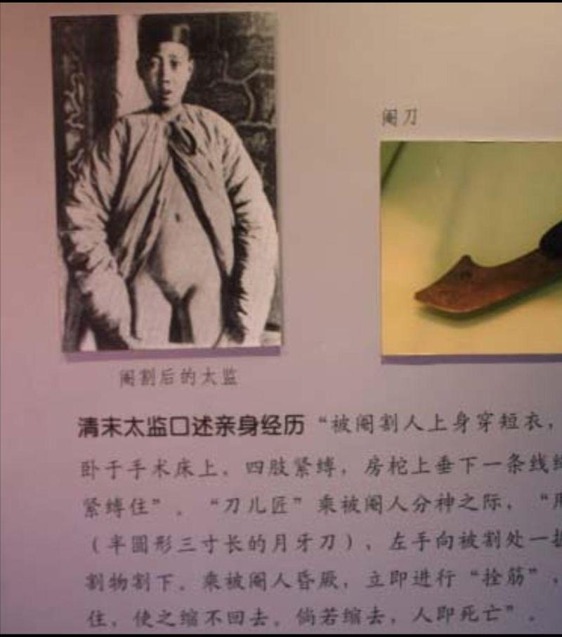 古代大户人家阉奴缩略图