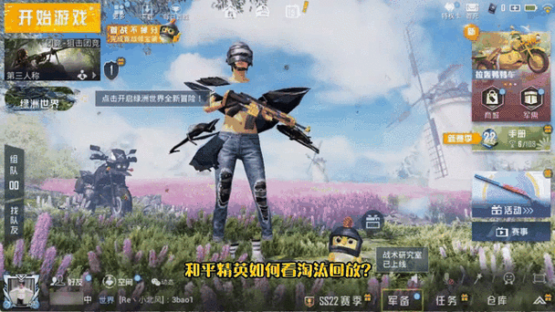 和平精英淘汰回放在哪设置缩略图