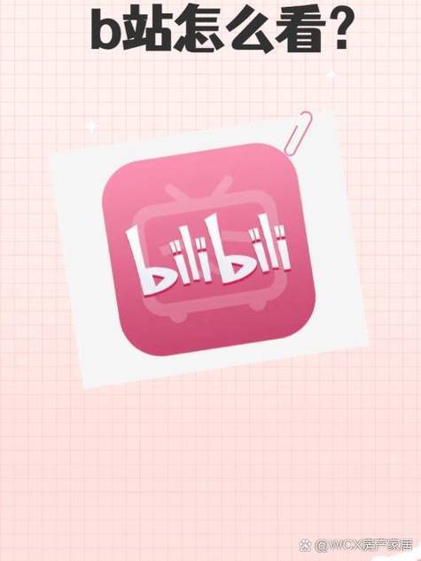 b站手机大会员可以在电视上用吗缩略图