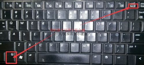 解决键盘上按字母出现数字的方法图标