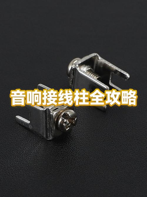 音箱两个接线柱与4孔的区别游戏截图