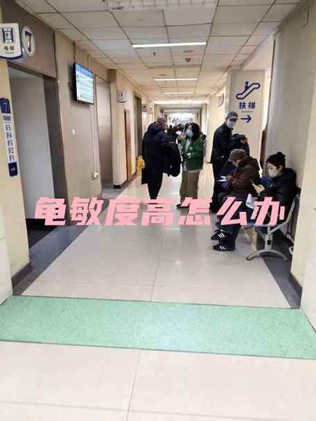龟敏度一旦吃药就不能停吗缩略图