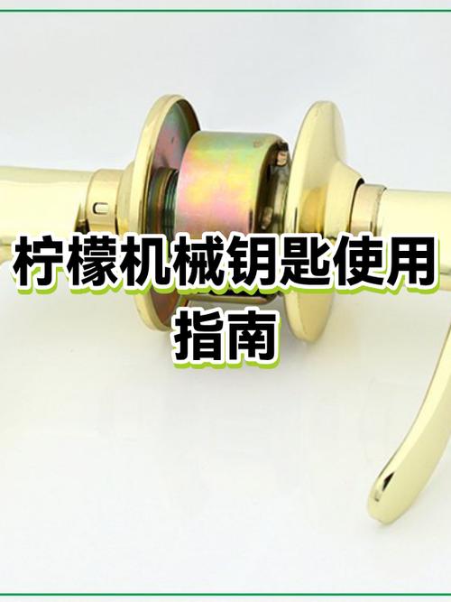 苹果人脸识别解锁后自动进入桌面图标