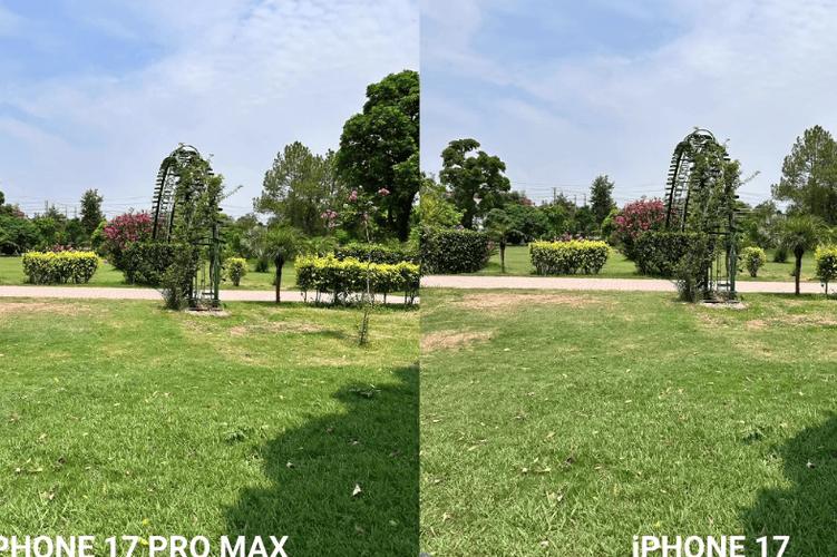 苹果max拍照发黄正常吗缩略图