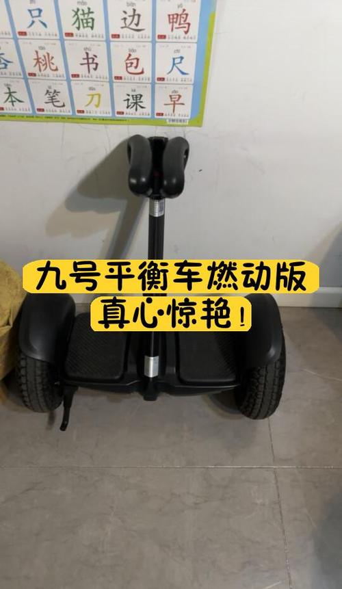 九号平衡车燃动版和普通版区别缩略图